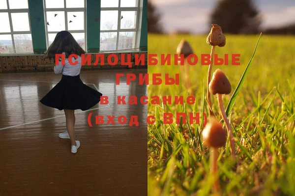 дмт Белоозёрский