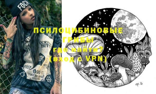 трава Белокуриха
