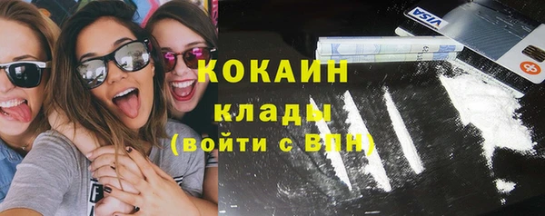 трава Белокуриха