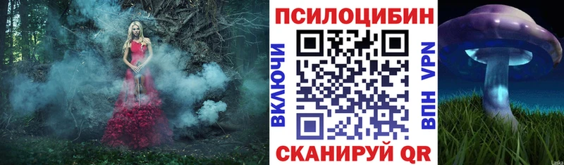Галлюциногенные грибы прущие грибы  Купить  Плёс 